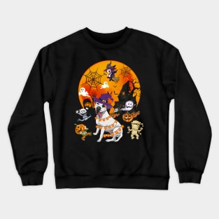 Pitbull Witch Funny Dog Halloween Crewneck Sweatshirt